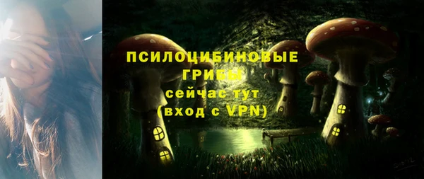 трава Елизово