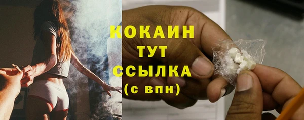 трава Елизово