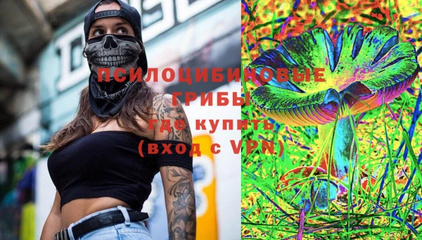 мяу мяу мука Елабуга