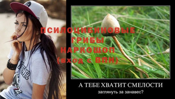 мяу мяу мука Елабуга