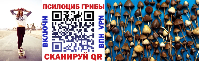 МЕГА как зайти  Красноперекопск  Псилоцибиновые грибы мухоморы 